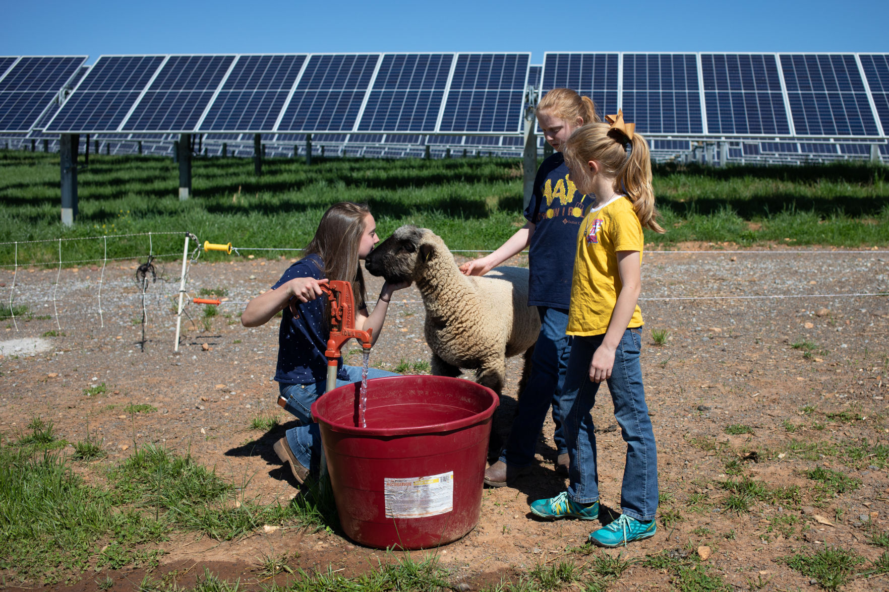 SheepFarm_09.jpg